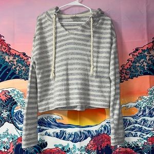 Blue and white hoodie. Lightly worn, like new.